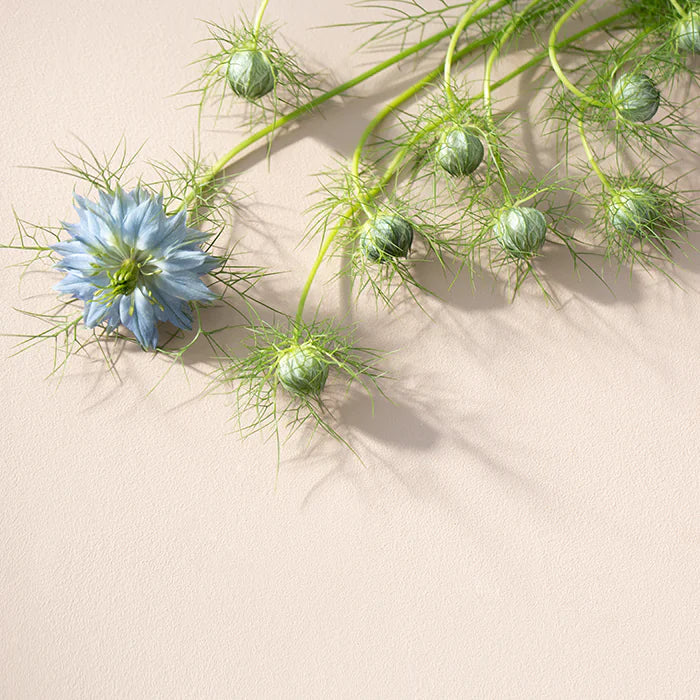 Deep Breath™ - 60 tablets