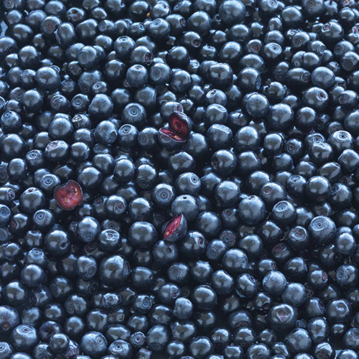 Blue Berry™ Plus Eye Vitamin - 120 tablets