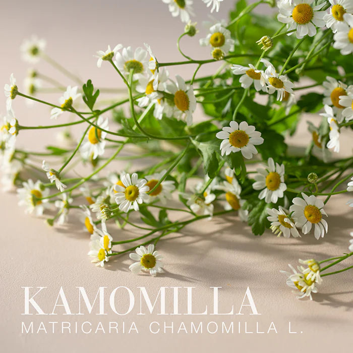 New Nordic Melissa Dream 120 tabletter