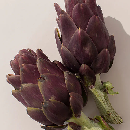 Active Liver™ - 60 tablets