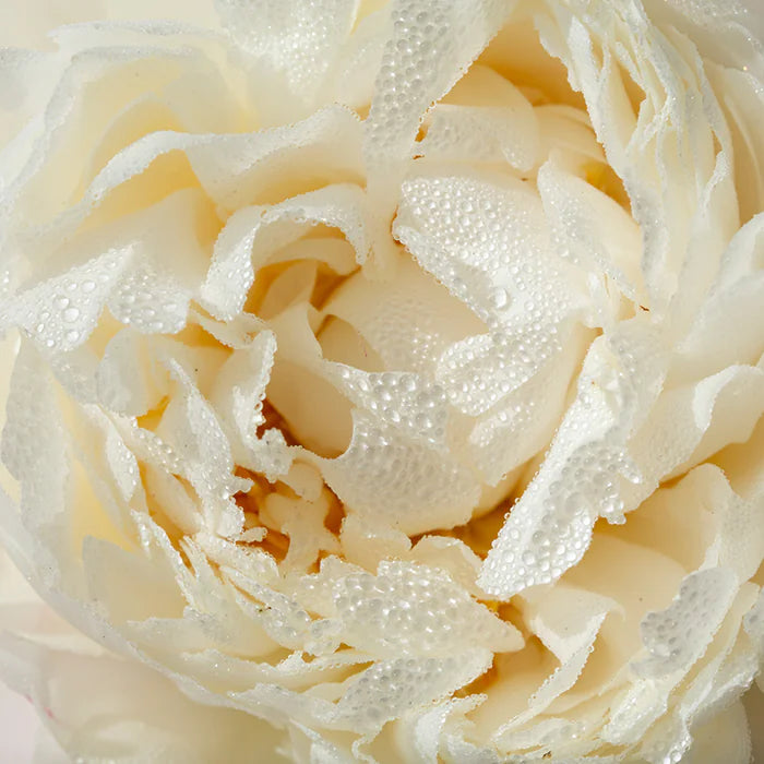 Multivitamin pregnant - 90 tablets.